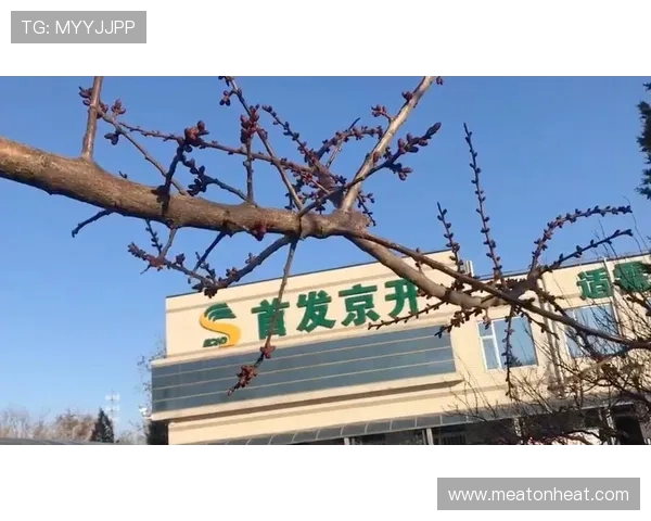 开云集团首页提供的最新产品信息与品牌介绍帮助消费者快速找到心仪的奢华商品与服务