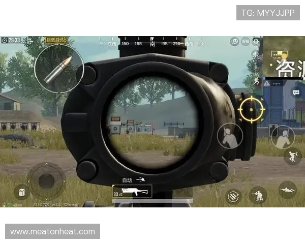 最新开云体育网页版入口使用指南,助你顺利进入游戏世界